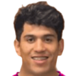 logo src=